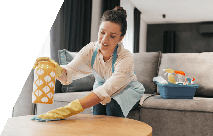 Cleaning Business Management Software